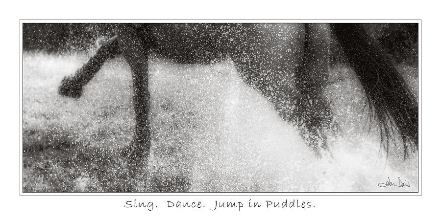 Jump In Puddles Photograph by Joan Davis