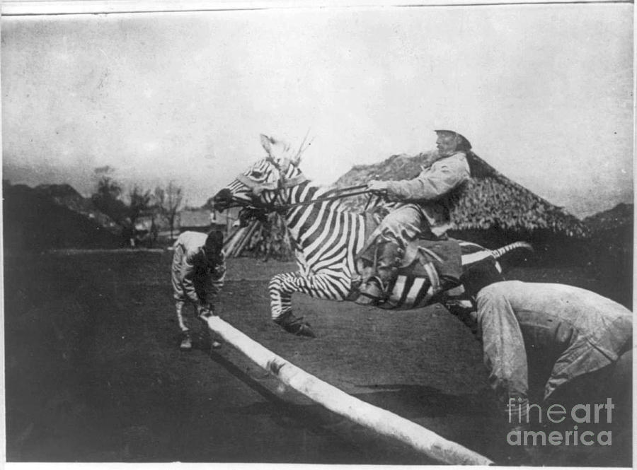 Zebra Photograph - Jumping A Zebra by Frederick Holiday