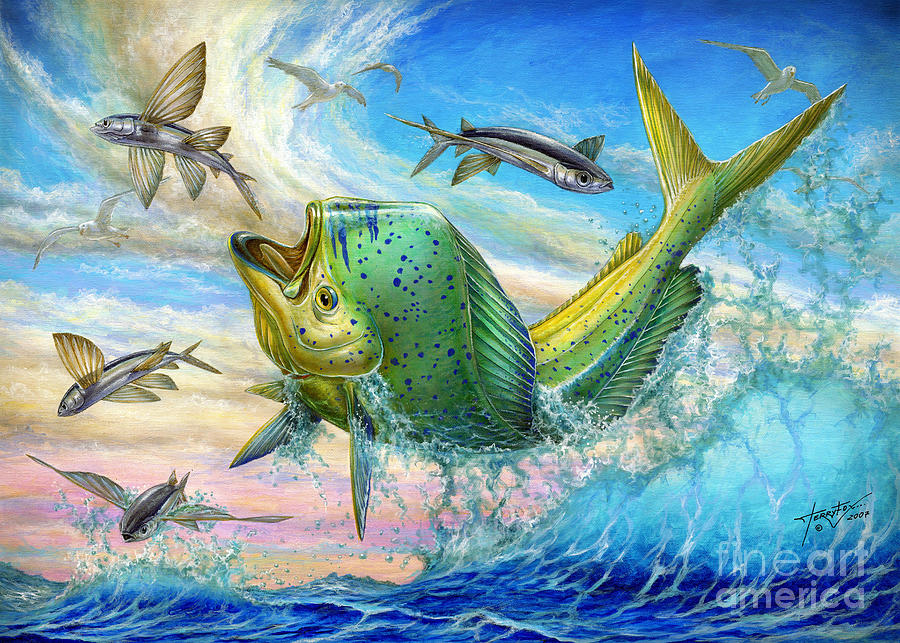 Flyingfish Painting - Jumping Mahi Mahi And Flyingfish by Terry Fox