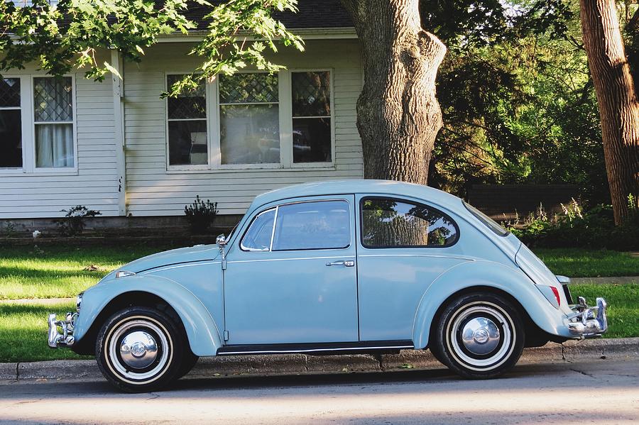 June bug Photograph by Maddie Bailiff | Fine Art America