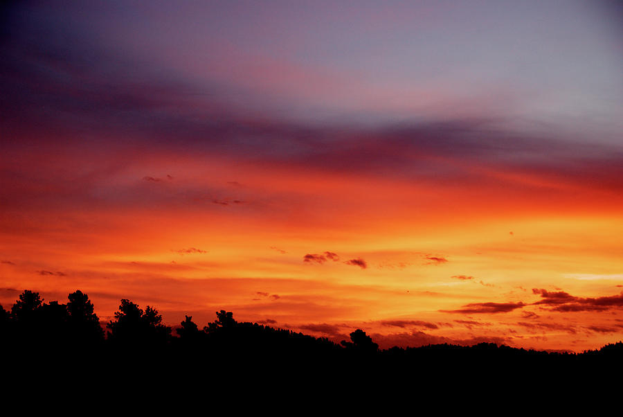 Sunset Photograph - June Daybreak by Kristin Davidson