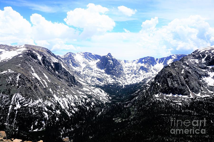 June in the rockies Photograph by Merle Grenz