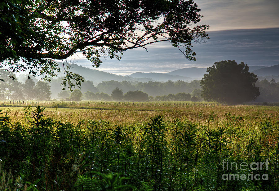 June Morning Cades Cove II Photograph by Douglas Stucky