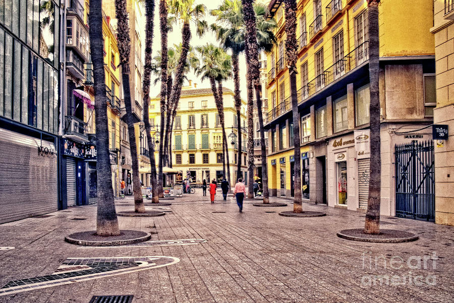 June Morning - Malaga Photograph