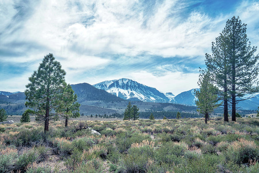 June Mountain Range Photograph by Michelle Joseph-Long