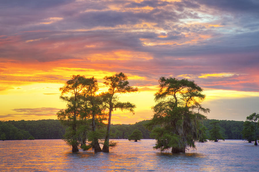 June Sunset at Caddo Lake 5 Photograph by Rob Greebon