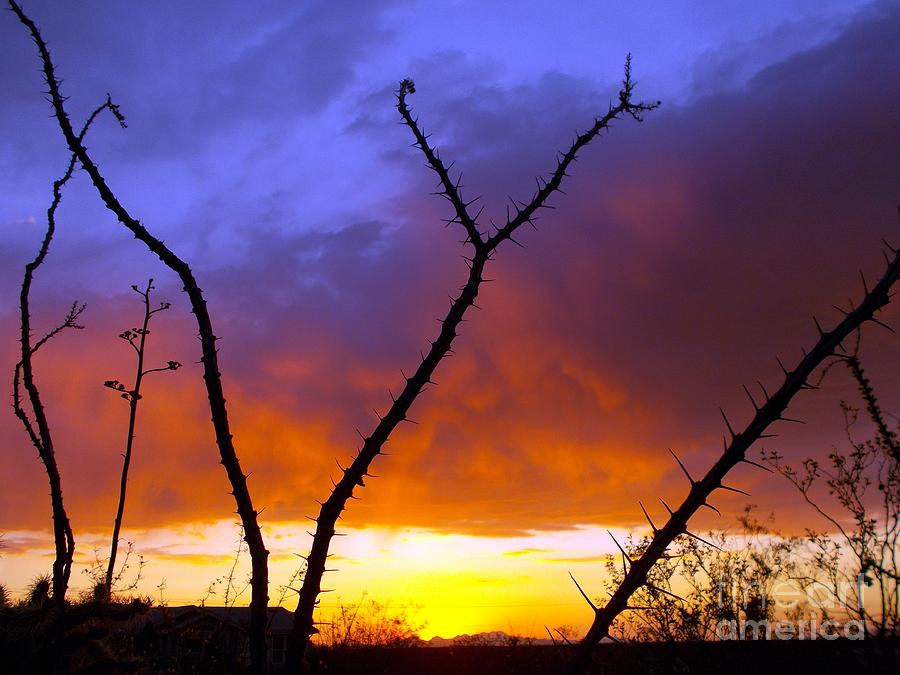 June Sunset Photograph by Jerry Bokowski