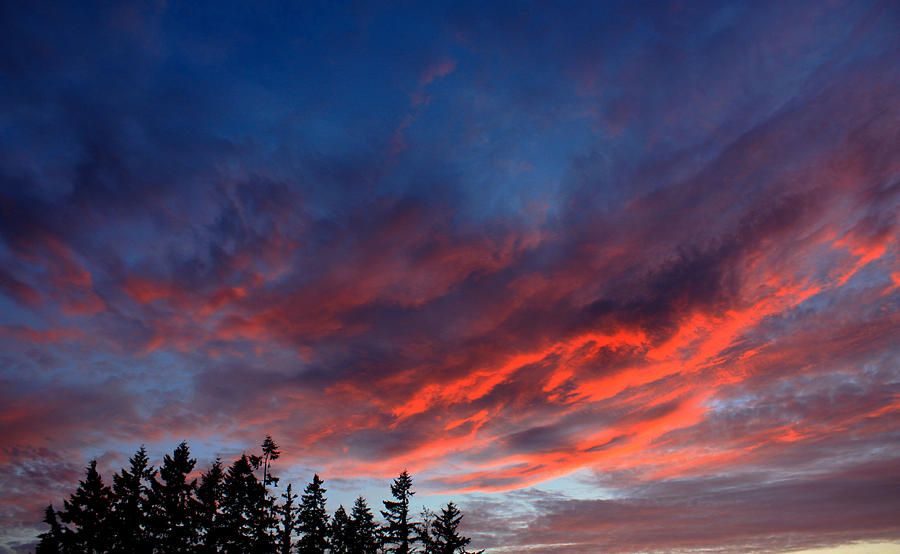 June Sunset Photograph by Nick Gustafson