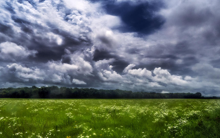 June Wildflowers under Storm Photograph by Eric Benjamin