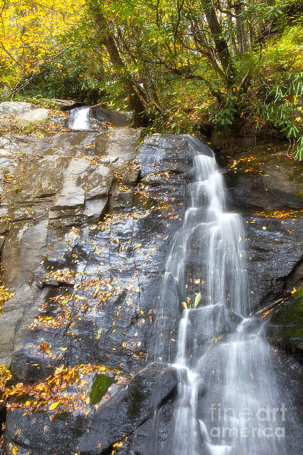 Juney Whank Falls In Nc Photograph