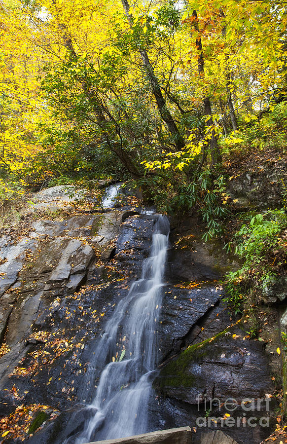 Juney Whank Falls In North Carolina Photograph