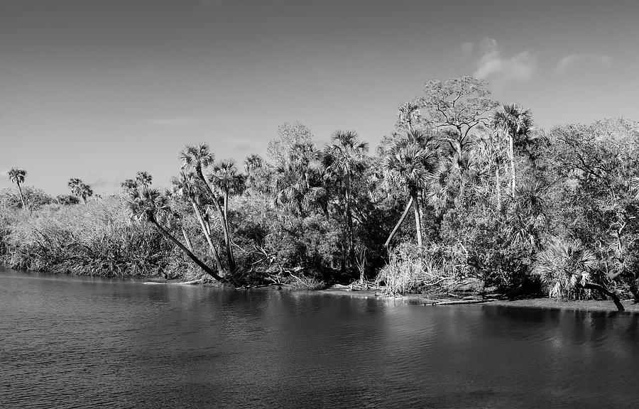 Jungle Across the River Photograph by Robert Wilder Jr