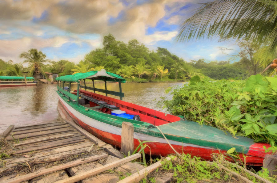 Jungle Boat Photograph by Nadia Sanowar