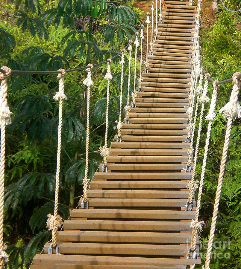 Jungle Bridge In Kauai Photograph by Loriannah Hespe