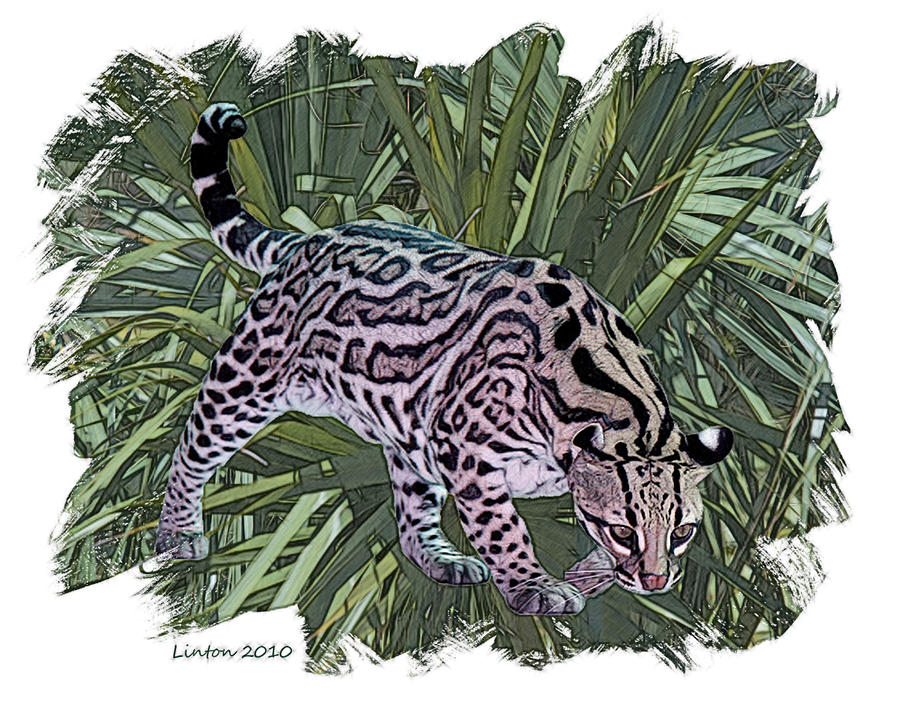 Jungle Cat 2 Digital Art by Larry Linton