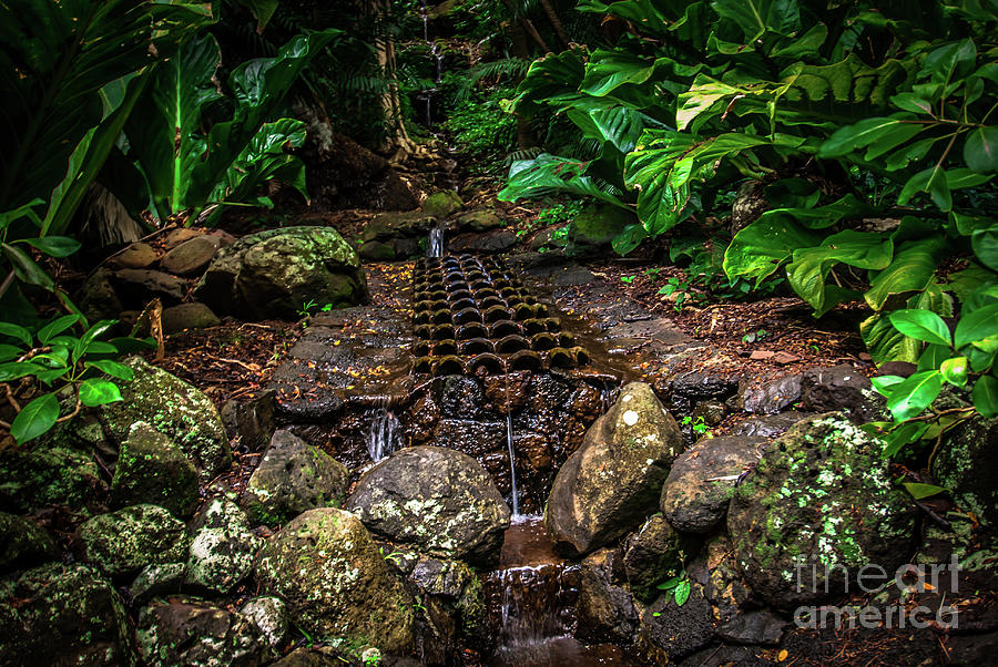 Jungle Fountain Kauai Hawaii Photograph by Blake Webster