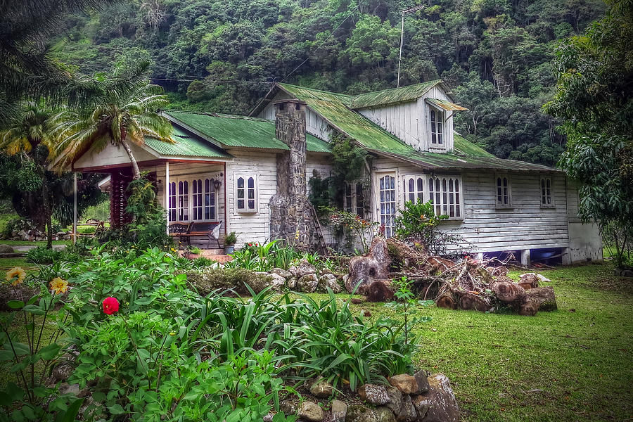 Jungle House Photograph by Stephen Dennstedt