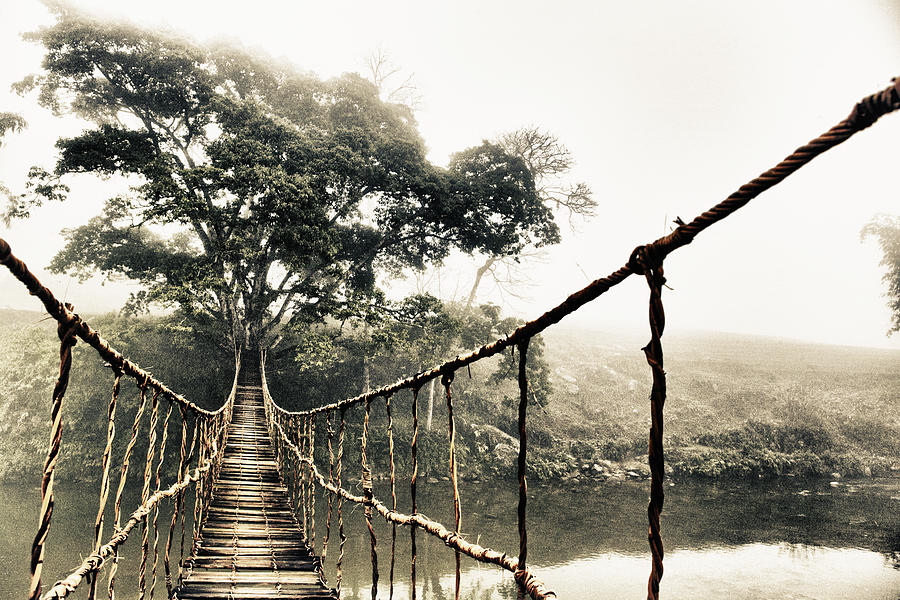 Inspirational Photograph - Jungle Journey 7 by Skip Nall