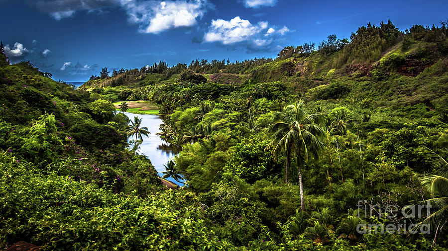 Jungle River South Shore Kauai Hawaii Photograph by Blake Webster