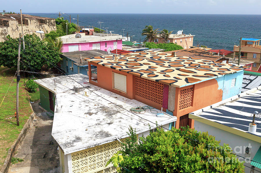 Jungle Roofs at La Perla San Juan Photograph by John Rizzuto