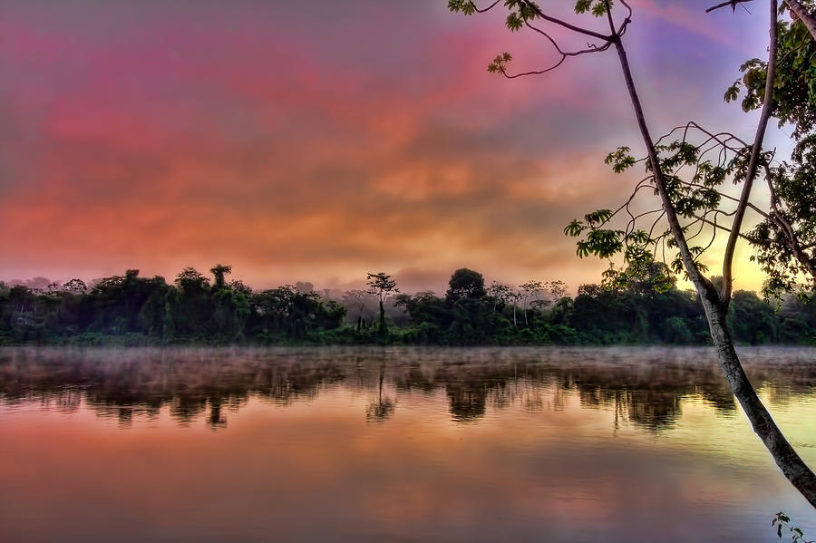 Jungle Sunrise Photograph by Nadia Sanowar