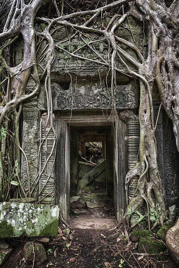 Jungle Temple Door #1 Photograph by Stephen Stookey