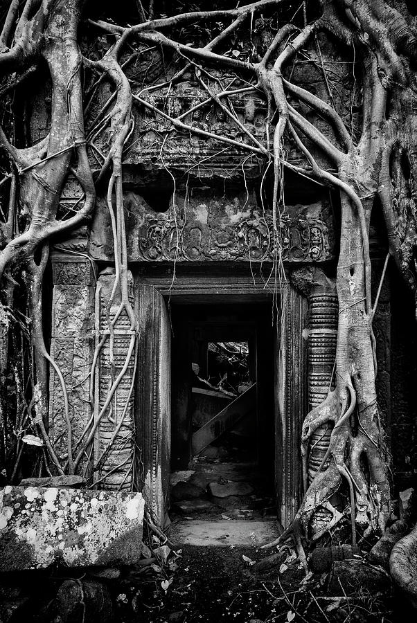 Jungle Temple Door #2 Photograph by Stephen Stookey