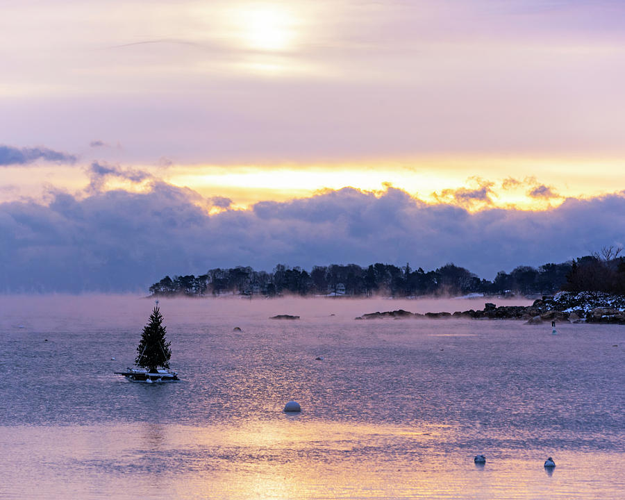 Juniper Cove Christmas Tree Salem MA Sea Smoke at Sunrise Photograph by Toby McGuire