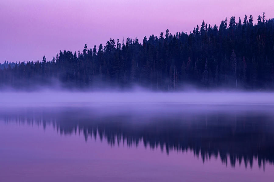 Juniper Lake at Dawn Photograph by Rick Pisio