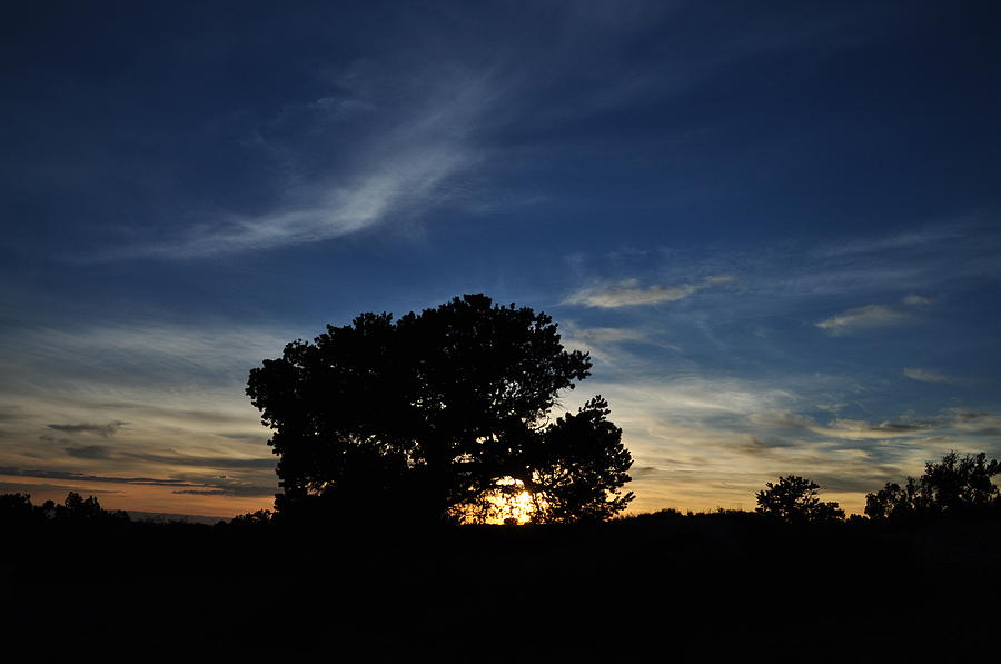 Juniper Sunset Photograph by Julia McHugh