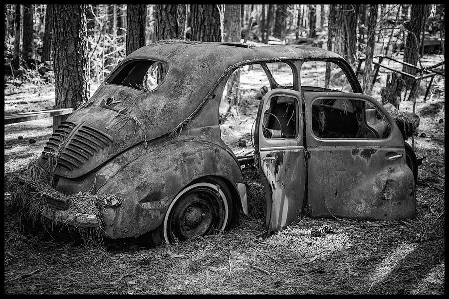 Junked Cars Photograph by Matthew Pace