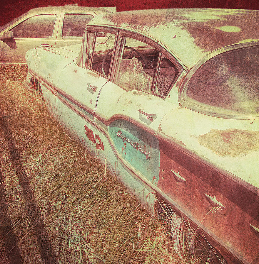 Junkyard Cars  Photograph by Cathy Anderson