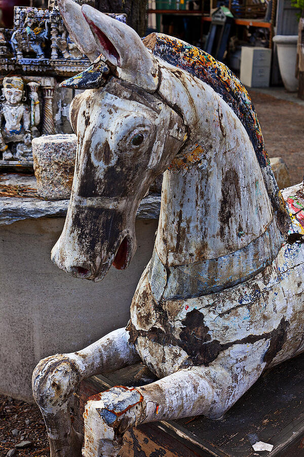Horse Photograph - Junkyard Horse by Garry Gay