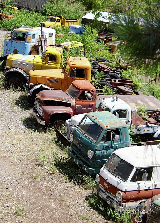 Junkyard Rainbow Photograph by Suzanne Oesterling