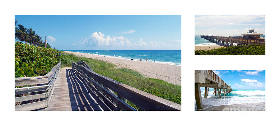 Juno Beach Florida Seascape Collage 1 Photograph by Ricardos Creations
