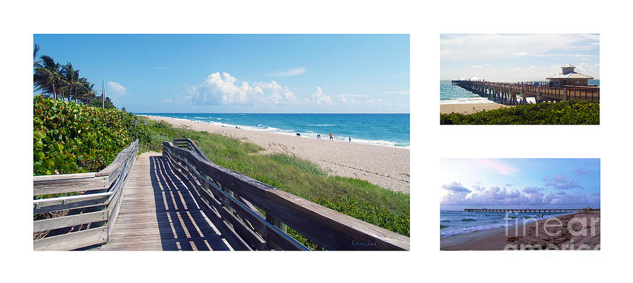 Juno Beach Florida Seascape Collage 3 Photograph by Ricardos Creations