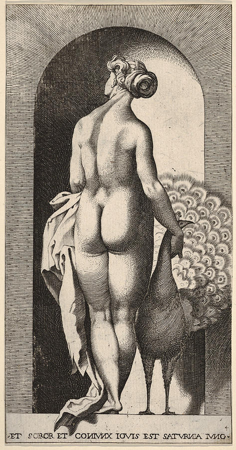 Greek Mythology Drawing - Juno standing in a niche by Giovanni Jacopo Caraglio