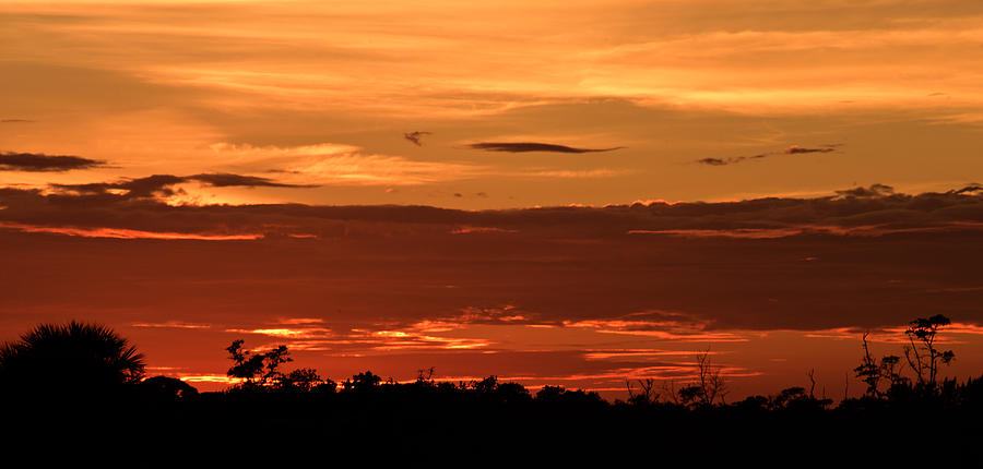 Juno Sunset Photograph by Carol Eade