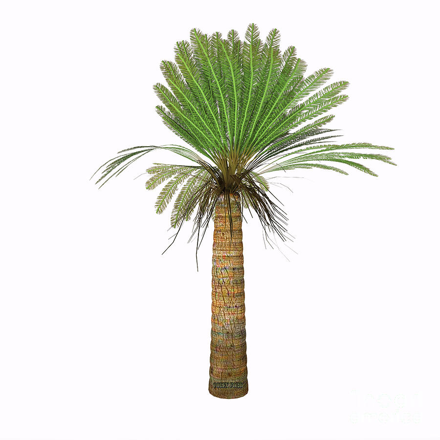 Jurassic Cycad Plant Painting by Corey Ford
