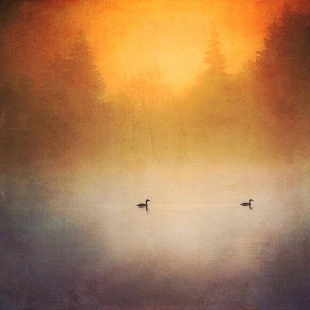 Grunge Photograph - Just A Couple Of Ducks by Tanya Gordeeva