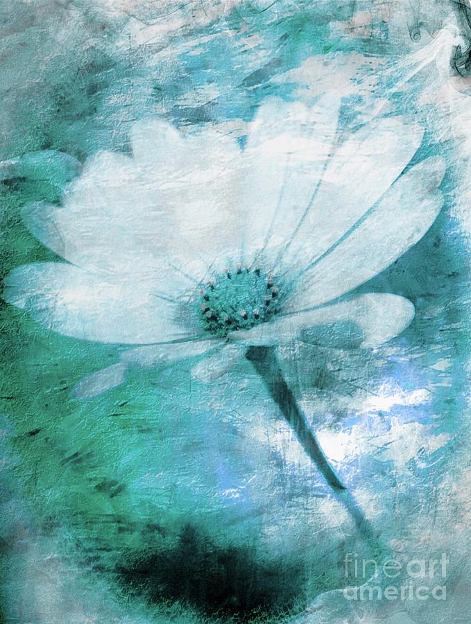 Daisy Photograph - Just A Daisy by Clare Bevan