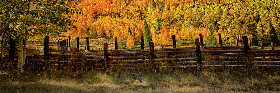Just a Fence Photograph by Elin Skov Vaeth