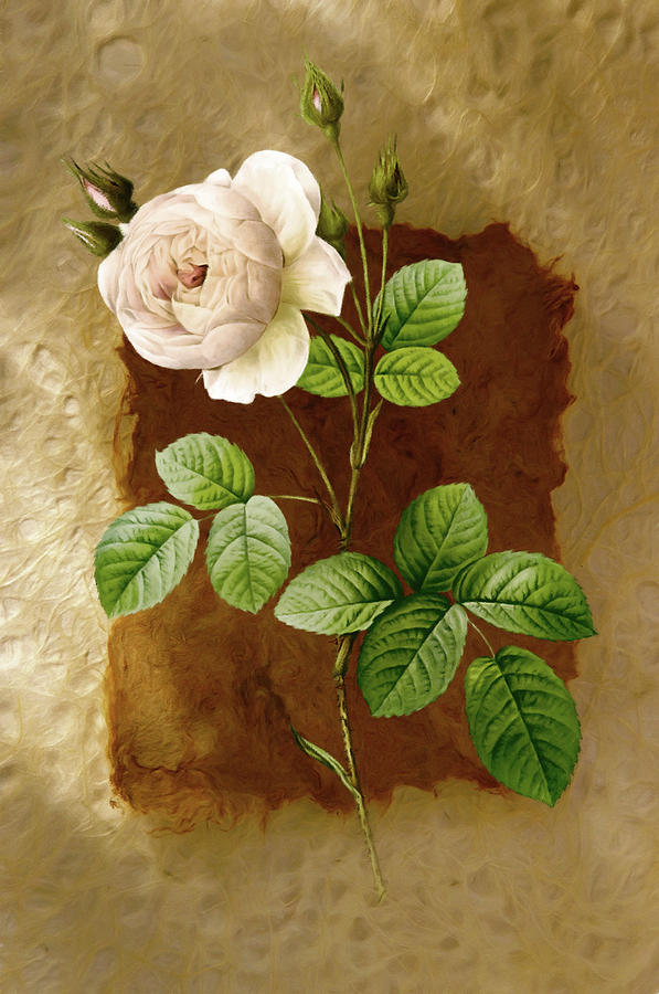 Japanese Paper Mixed Media - Just A Rose by Georgiana Romanovna