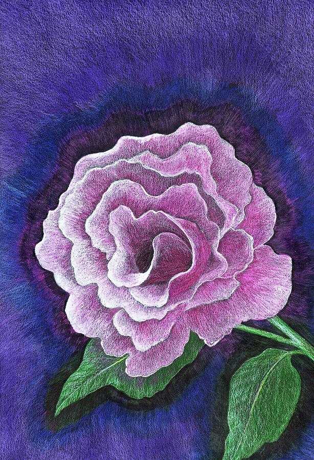 Rose Drawing - Just a Rose by Tammie Temple