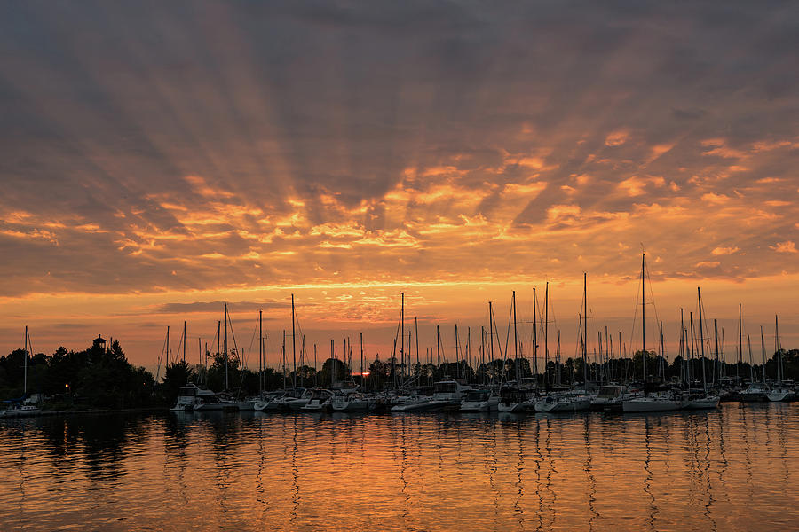 Pattern Photograph - Just a Sliver of the Sun - Sunrise God Rays at the Marina by Georgia Mizuleva