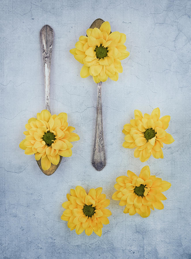 Just A Spoonful Photograph by Kim Hojnacki