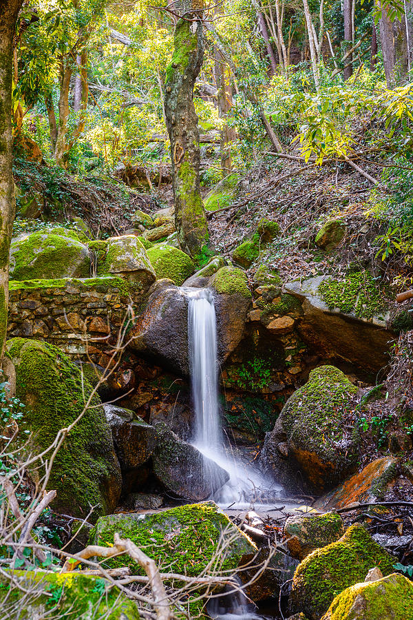 Just a Very Small Waterfall I Photograph by Marco Oliveira
