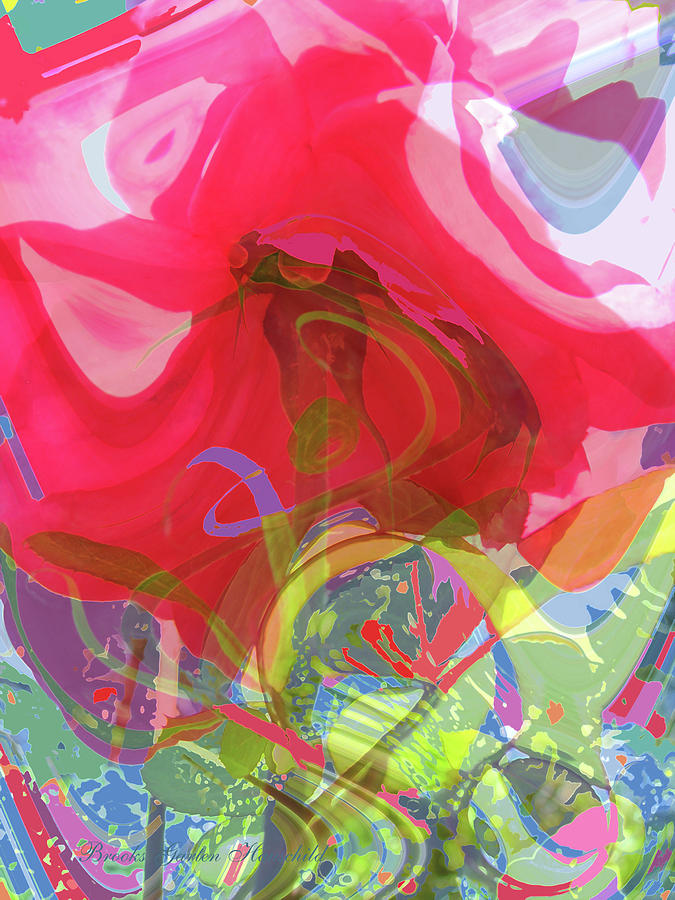 Just a Wild and Crazy Rose - Photography - Manipulated Floral Photography - Rose Art Photograph by Brooks Garten Hauschild