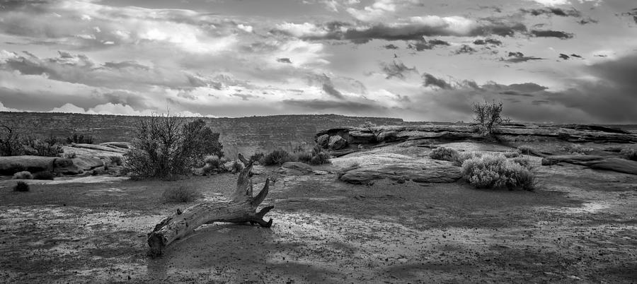 Black And White Photograph - Just After the Rain III by Jon Glaser