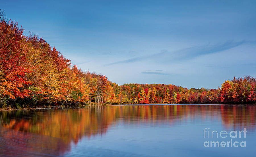 Just Another Beautiful Fall Day  Photograph by Bayarerdene 